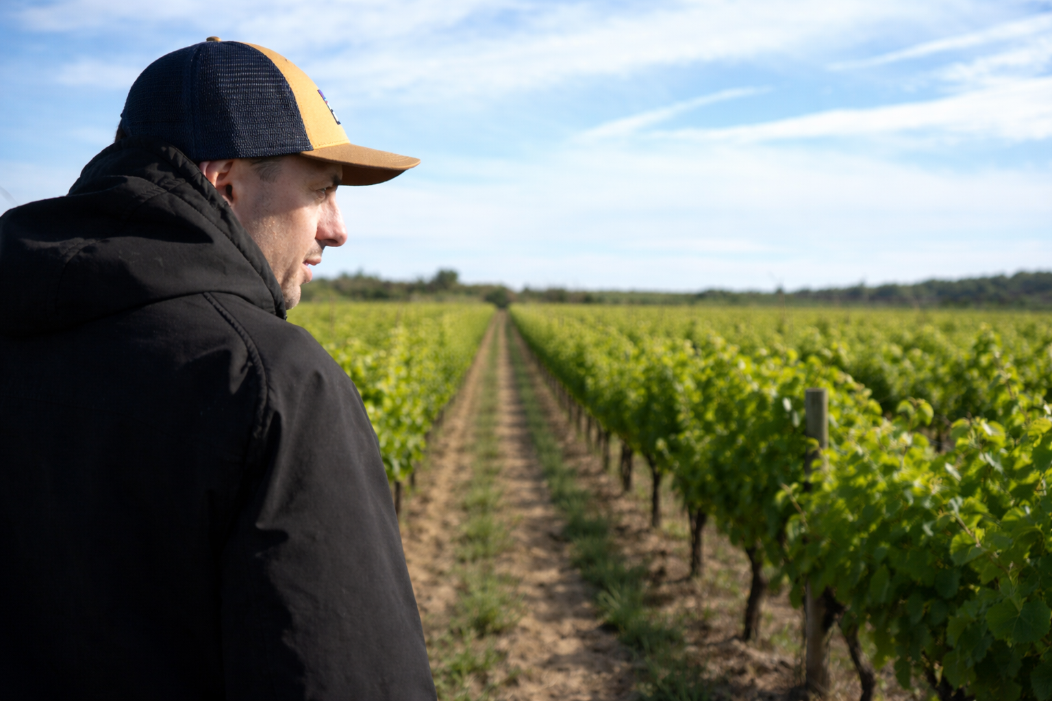 Erwan dans les vignes