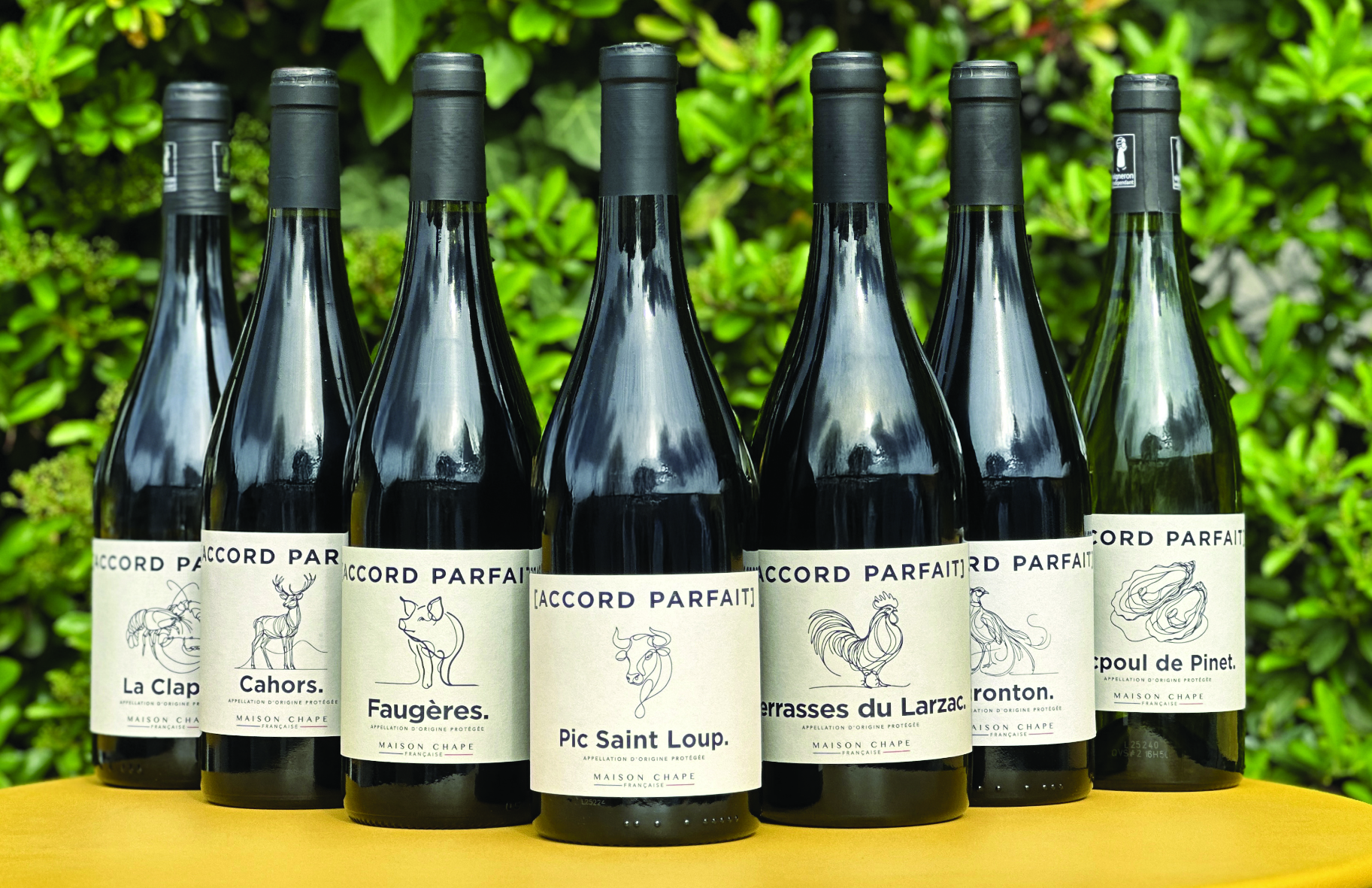 Vins Maison CHAPE